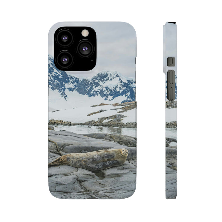 Weddell Relaxing - Phone Case