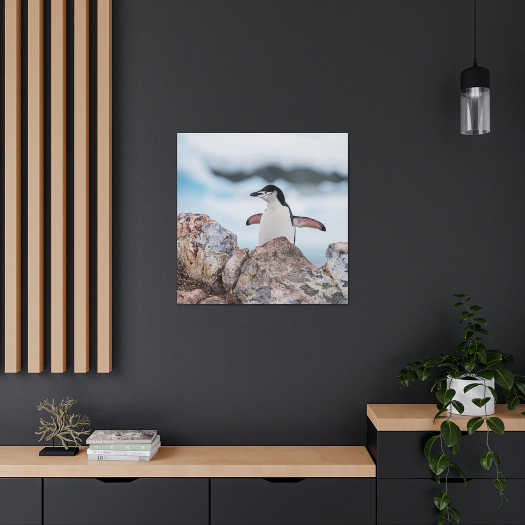 Stretched Penguin - Canvas