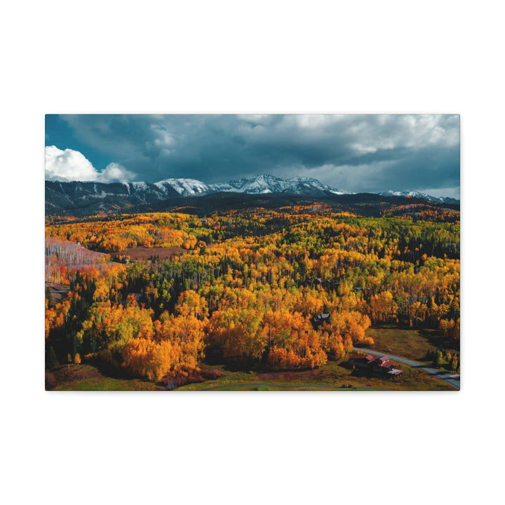 Golds of Autumn - Canvas