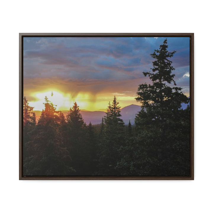 Rainy Sunset Through the Trees - Canvas with Frame