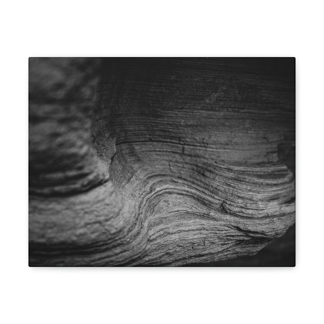 Sedimentary Rock Curves in Black and White - Canvas