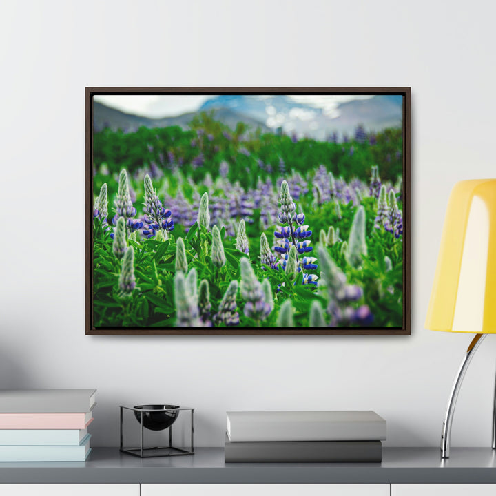 Glowing Lupin with Mountains - Canvas with Frame