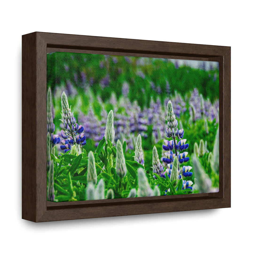 Glowing Lupin with Mountains - Canvas with Frame