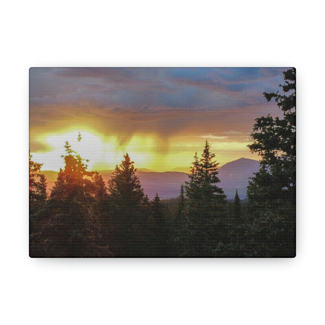 Rainy Sunset Through the Trees - Canvas