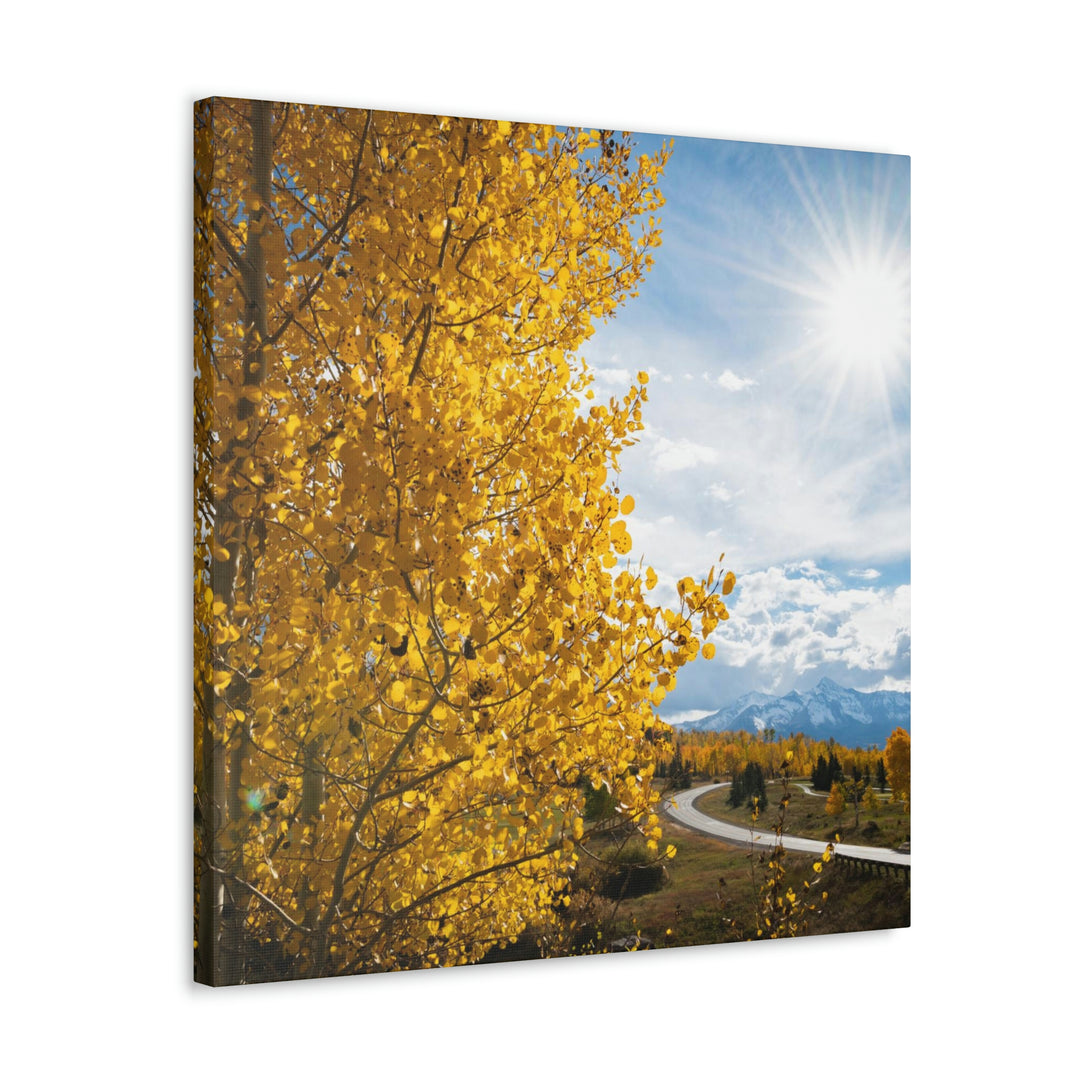 Golden Sunshine - Canvas