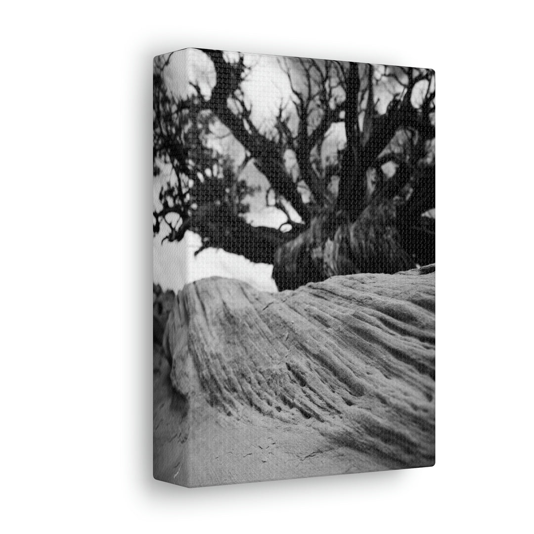 Desert Reach in Black and White - Canvas