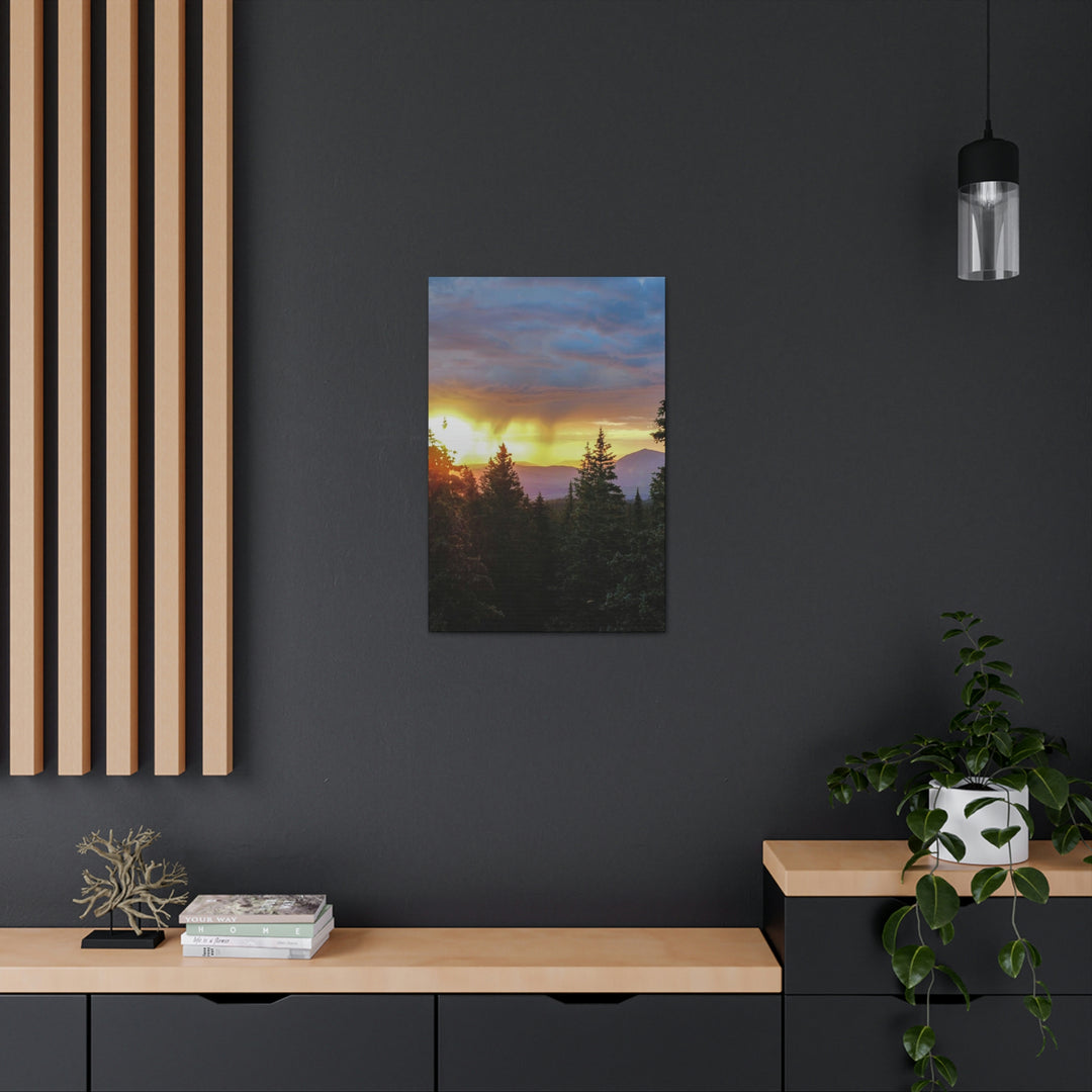 Rainy Sunset Through the Trees - Canvas