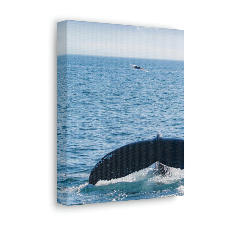 A Whale and A Mountain - Canvas