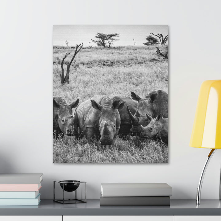 Rhino Family in Black and White - Canvas