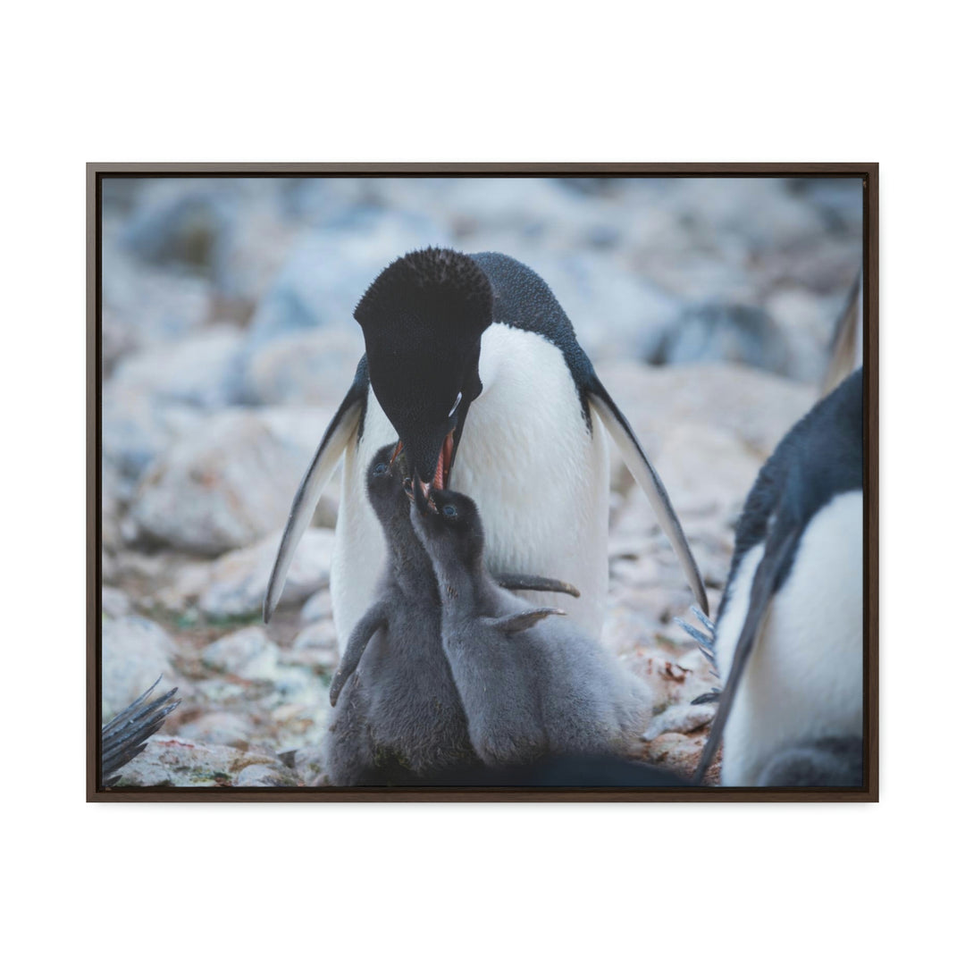 Feeding Time - Canvas with Frame