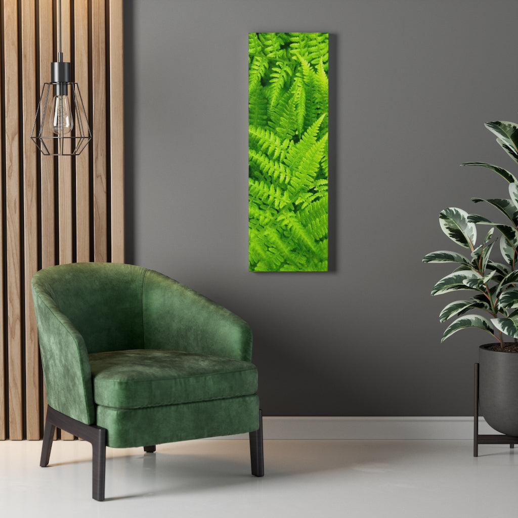 Ferns, Ferns, Ferns - Canvas