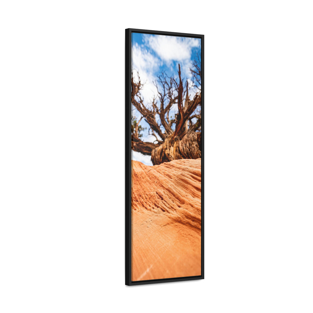 Desert Reach - Canvas with Frame