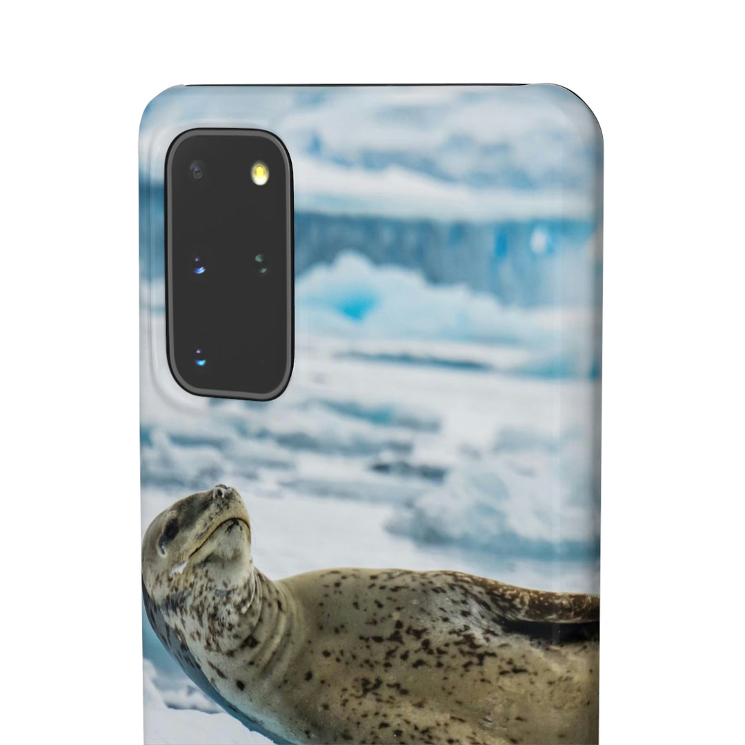 Leopard Seal Relaxing - Phone Case