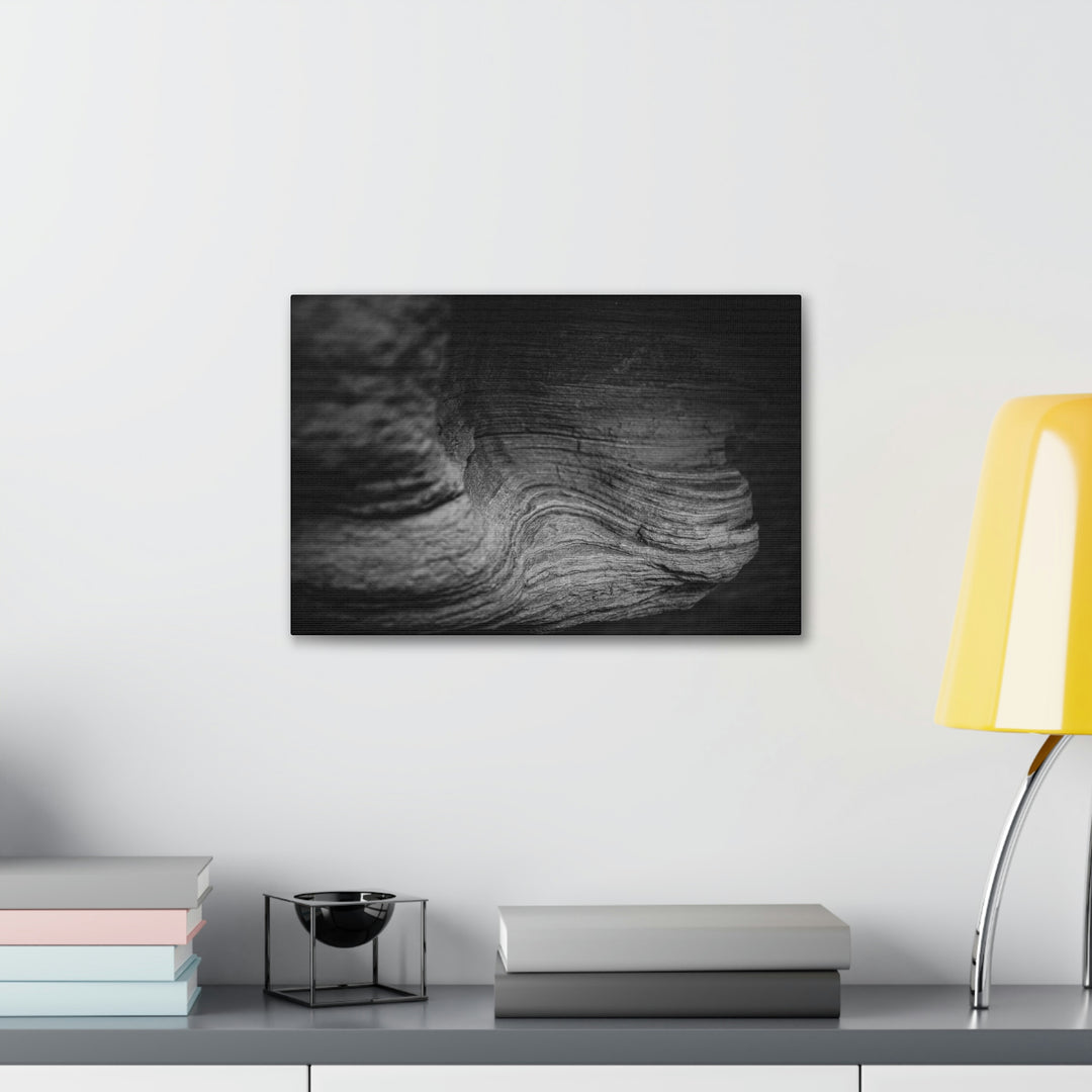 Sedimentary Rock Curves in Black and White - Canvas