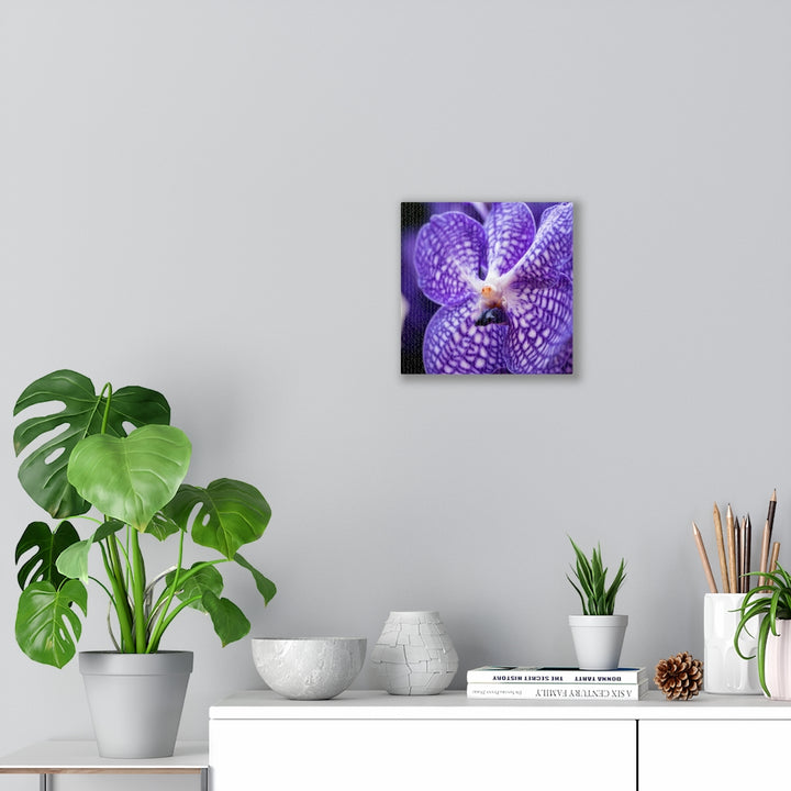 Orchid Detail - Canvas