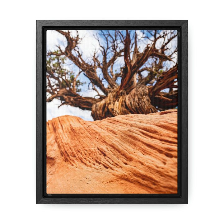 Desert Reach - Canvas with Frame