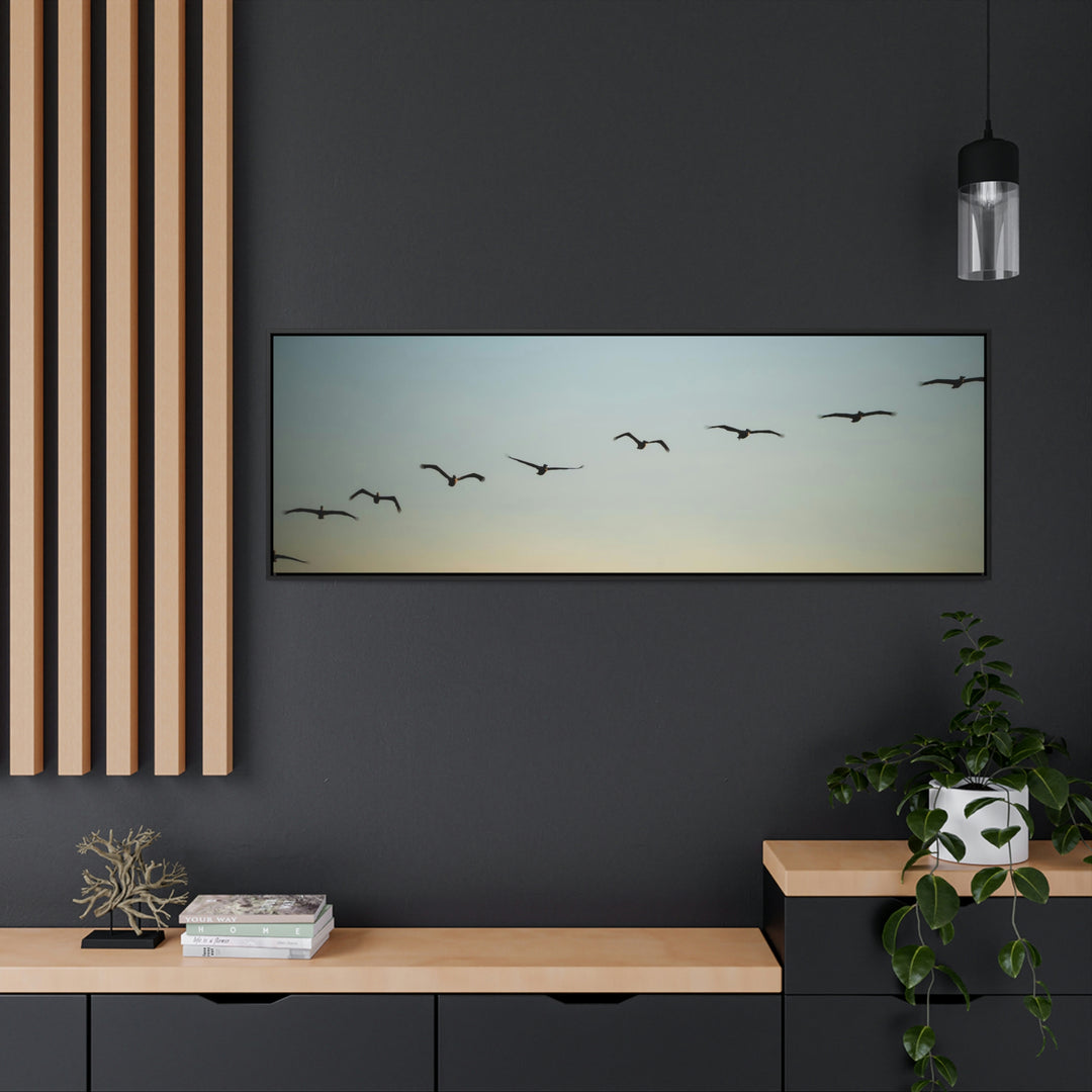 Brown Pelicans in Flight - Canvas with Frame