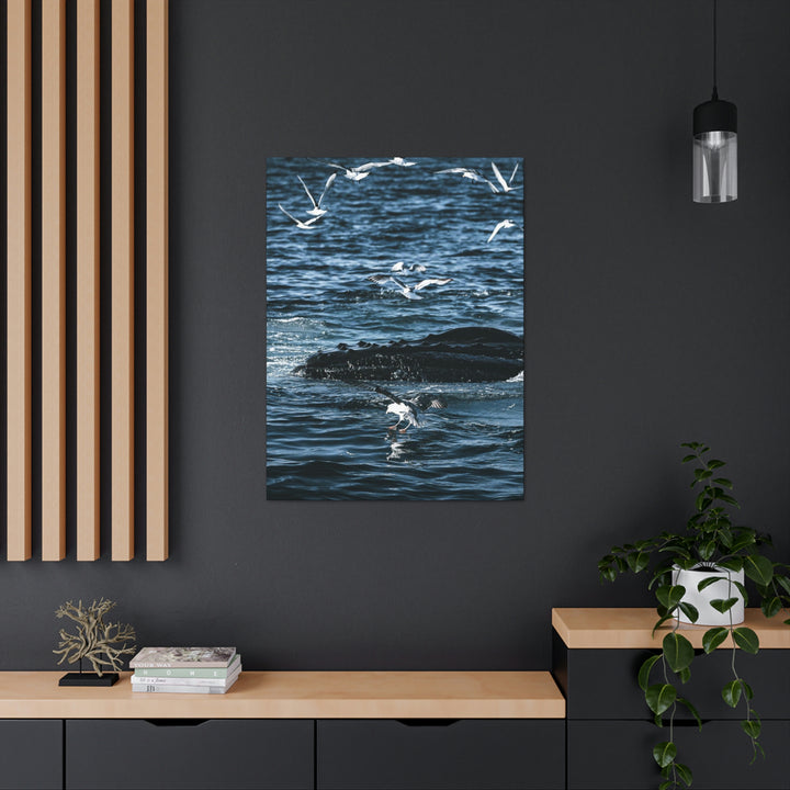 Humpback Hello - Canvas