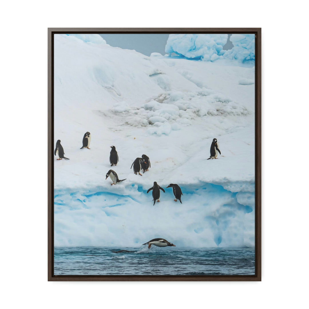 Porpoising Penguin - Canvas with Frame