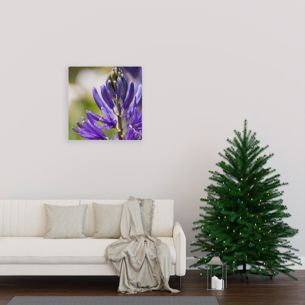 Camas in Bloom - Canvas