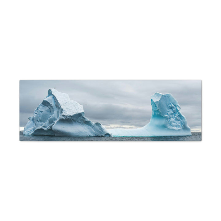 Antarctic Flight - Canvas