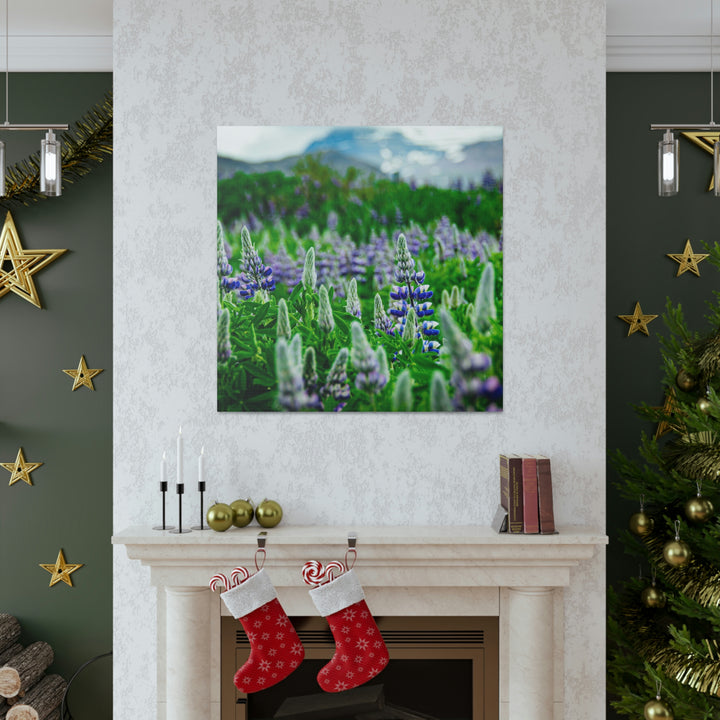 Glowing Lupin with Mountains - Canvas