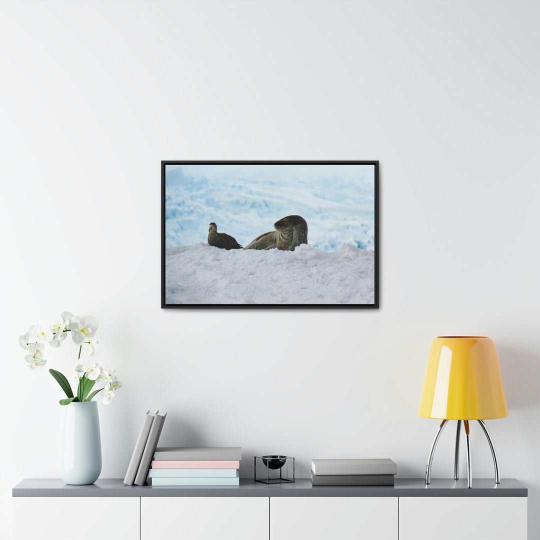 A Resting Pair - Canvas with Frame