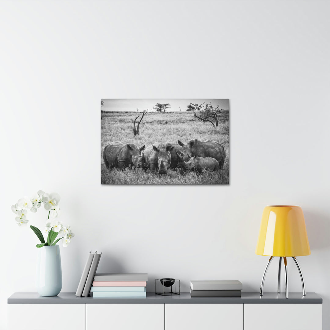 Rhino Family in Black and White - Canvas