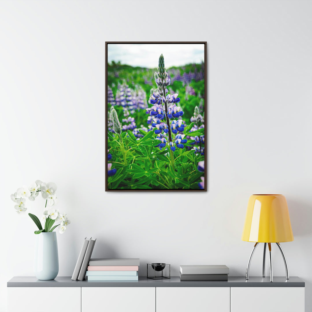 Glowing Lupin - Canvas with Frame