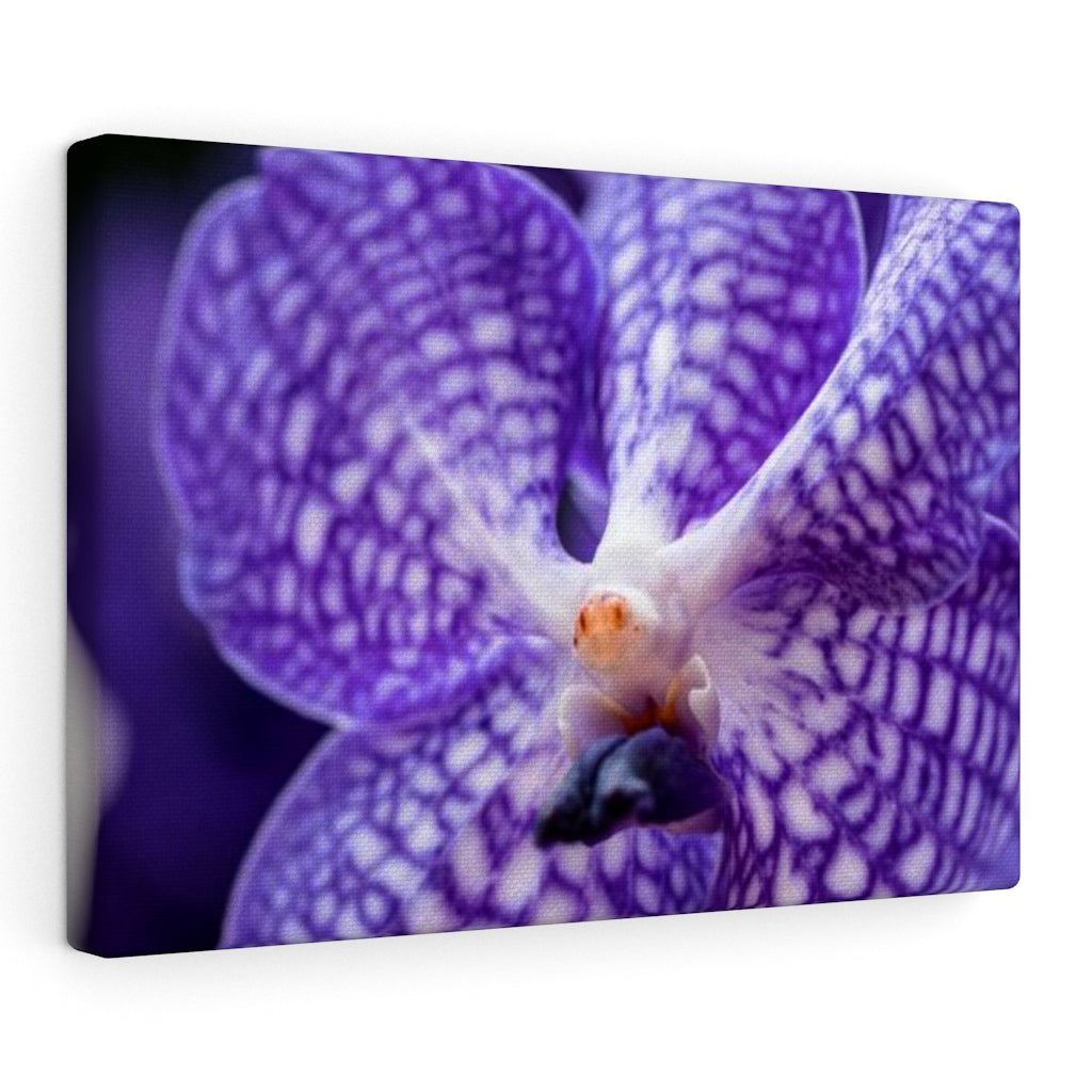 Orchid Detail - Canvas