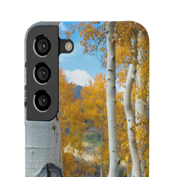 Aspens Changing - Phone Case