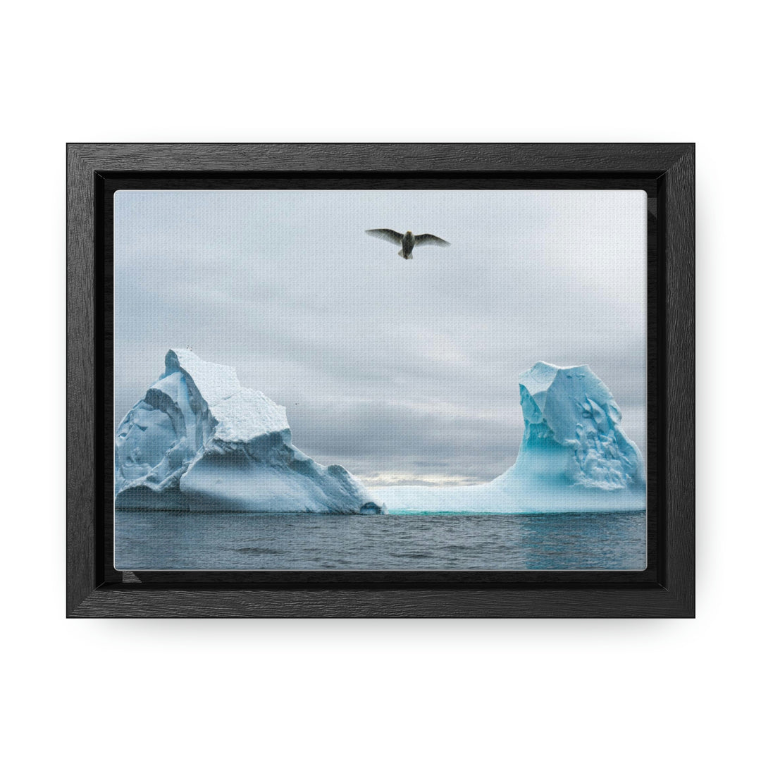 Antarctic Flight - Canvas with Frame