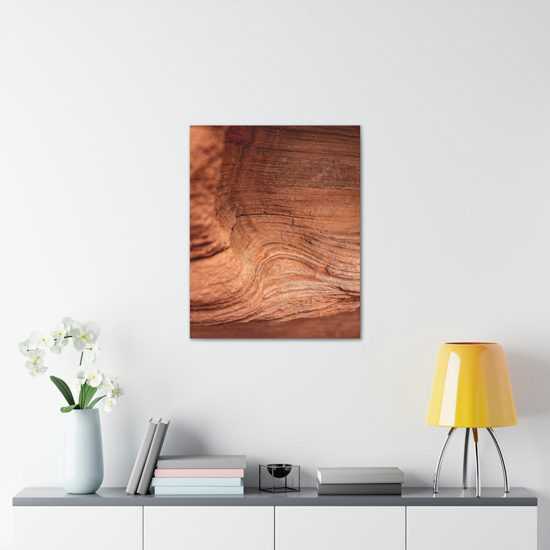 Sedimentary Rock Curves - Canvas