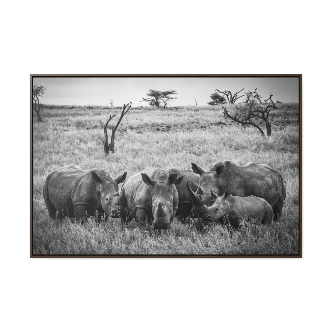 Rhino Family in Black and White - Canvas with Frame