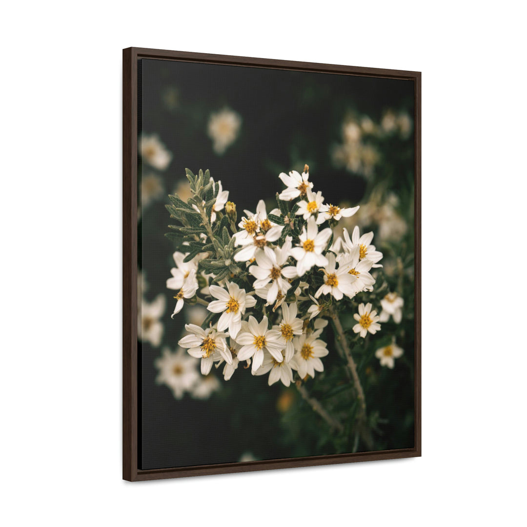 A Touch of White - Canvas with Frame