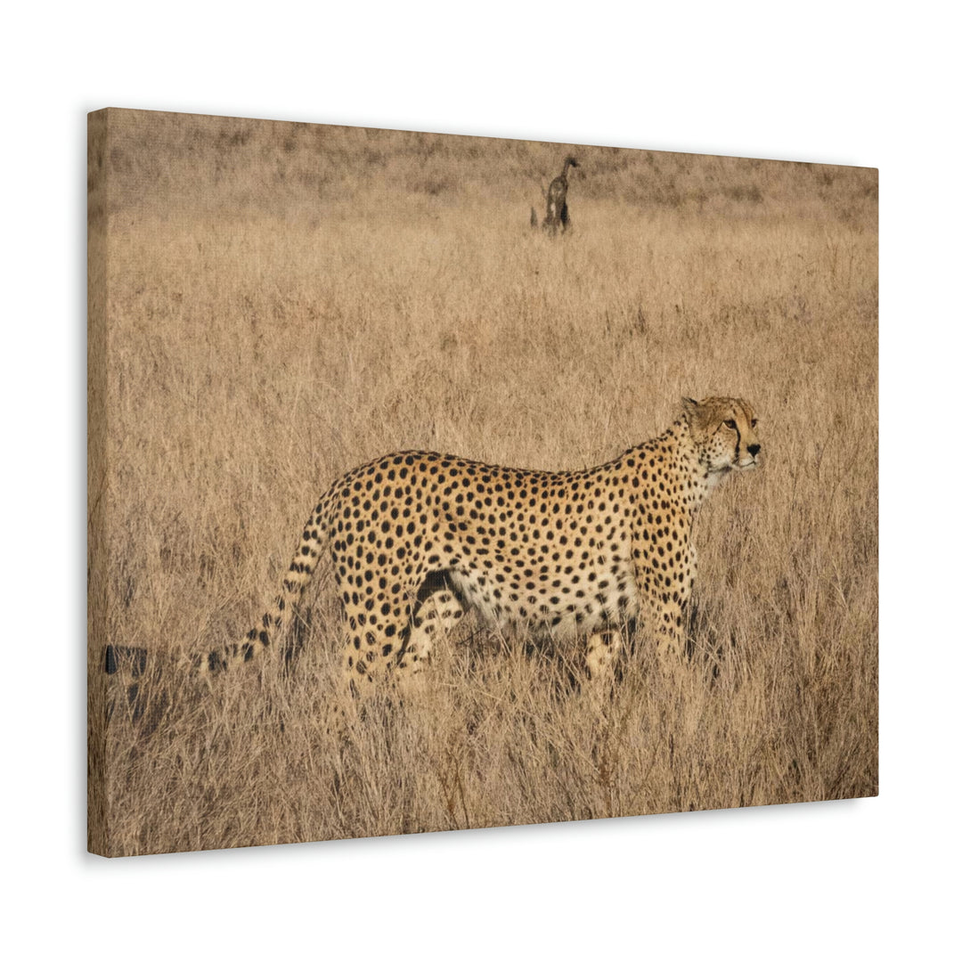 Regal Camouflage - Canvas