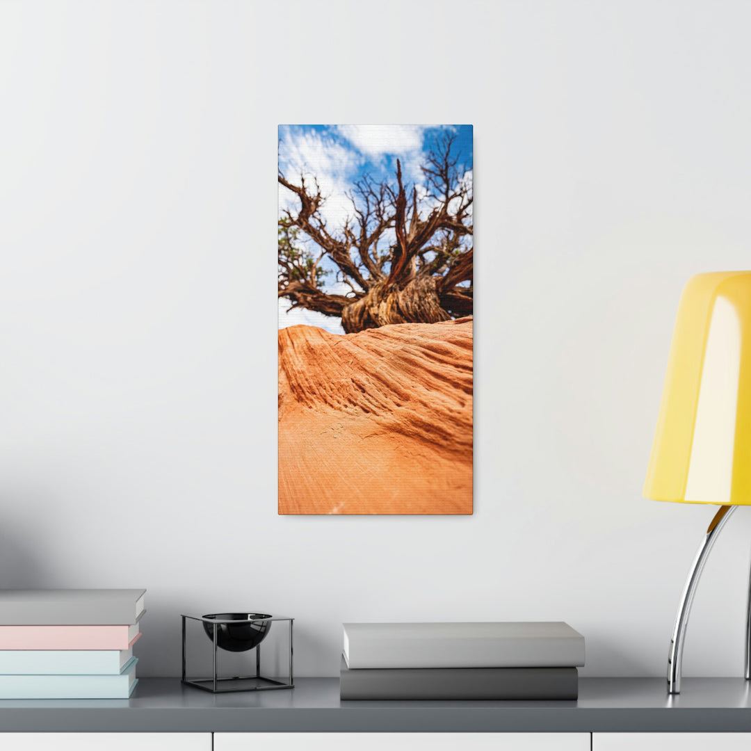 Desert Reach - Canvas