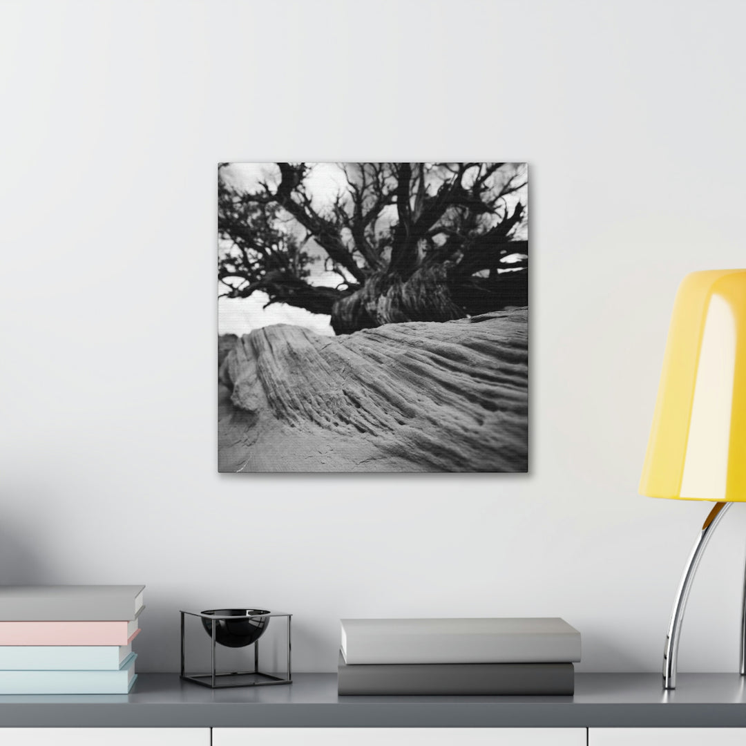 Desert Reach in Black and White - Canvas