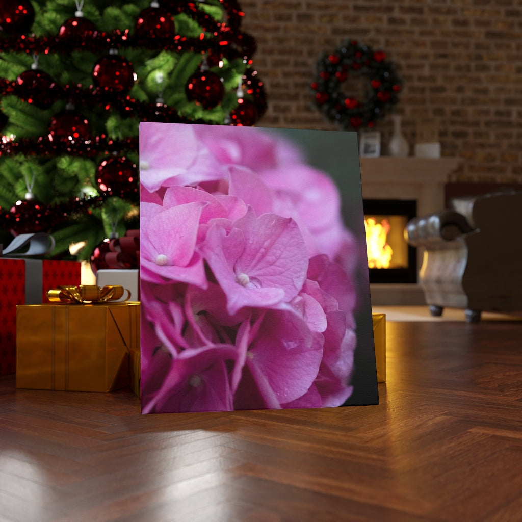 Pink Hydrangea Detail - Canvas