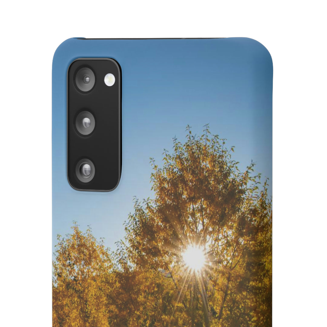 Sun Through the Aspens - Phone Case