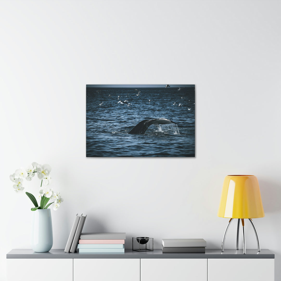 Feeding Tail - Canvas