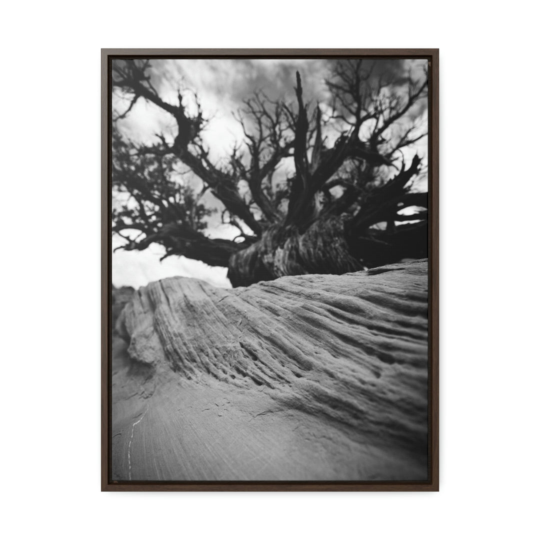 Desert Reach in Black and White - Canvas with Frame