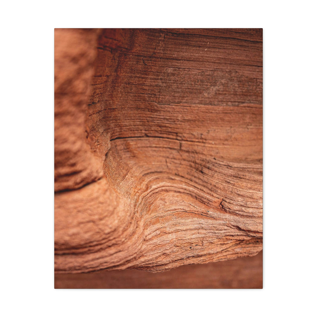 Sedimentary Rock Curves - Canvas