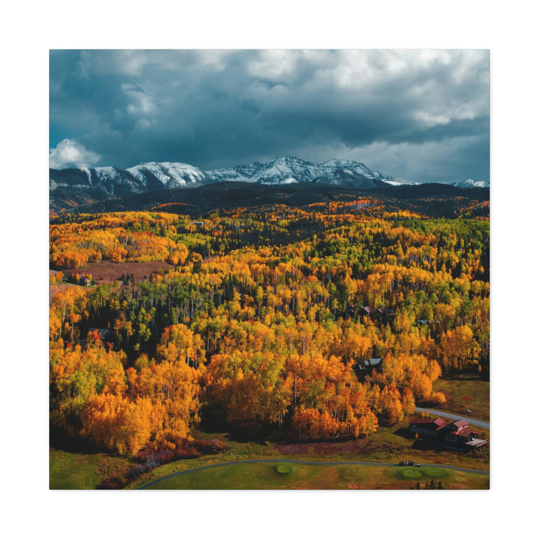 Golds of Autumn - Canvas