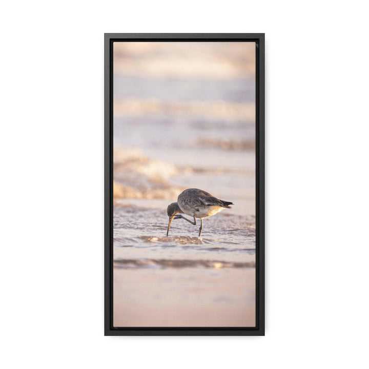 Willet Itch - Canvas with Frame