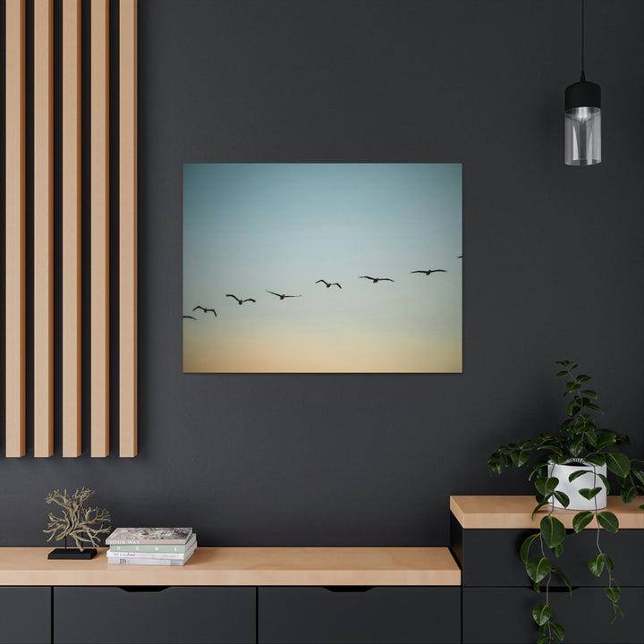 Brown Pelicans in Flight - Canvas