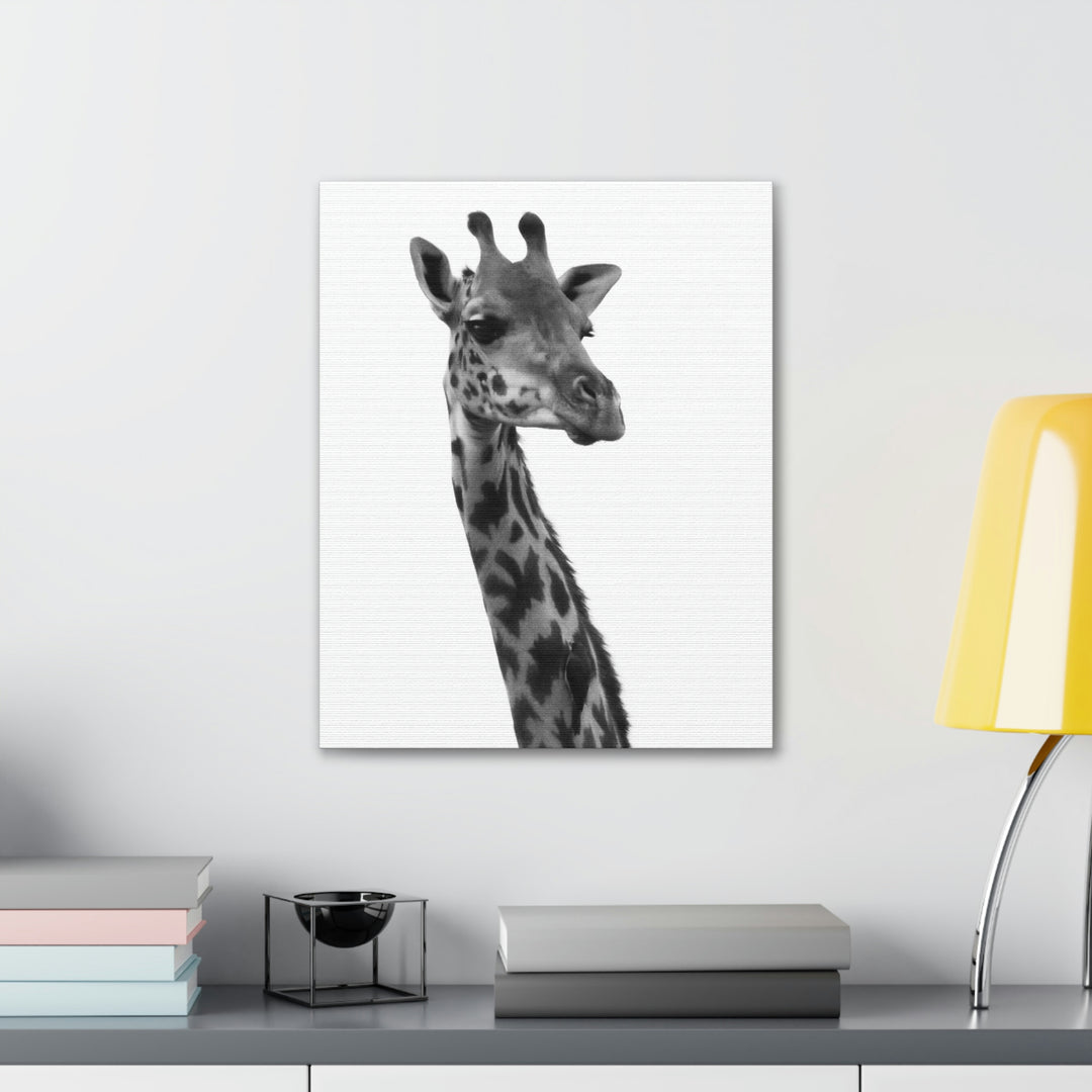 Giraffe Portrait in Black and White  - Canvas