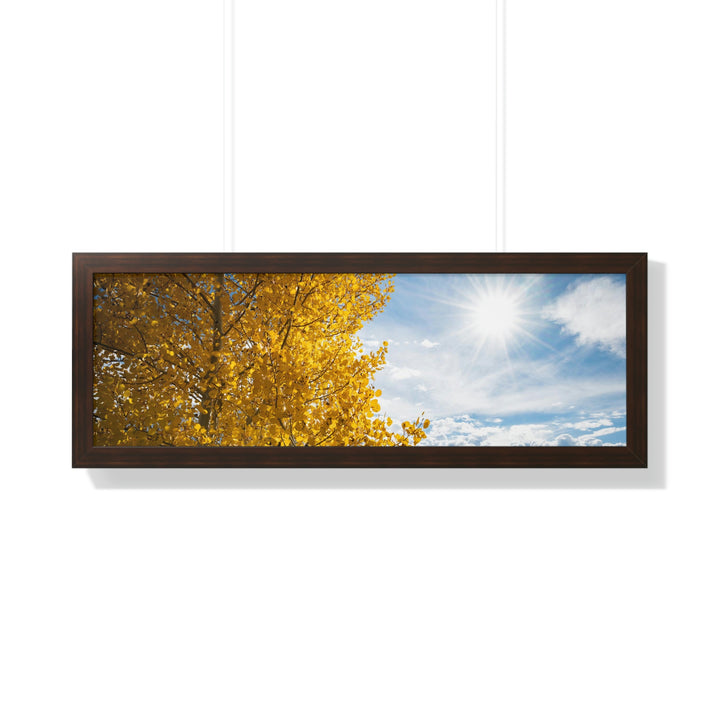 Golden Sunshine - Framed Print