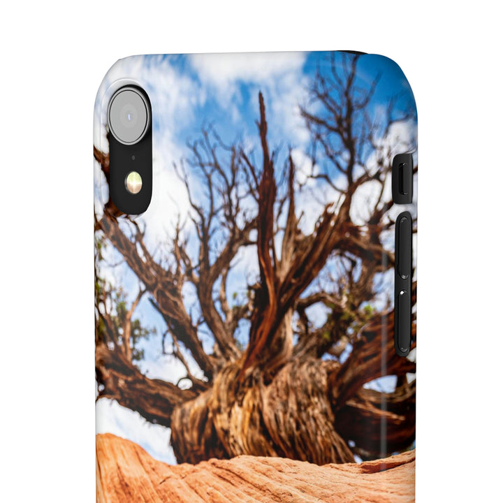 Desert Reach - Phone Case