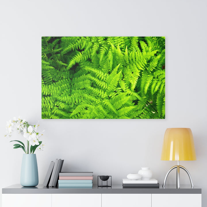 Ferns, Ferns, Ferns - Canvas